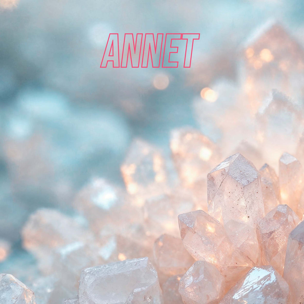 ANNET
