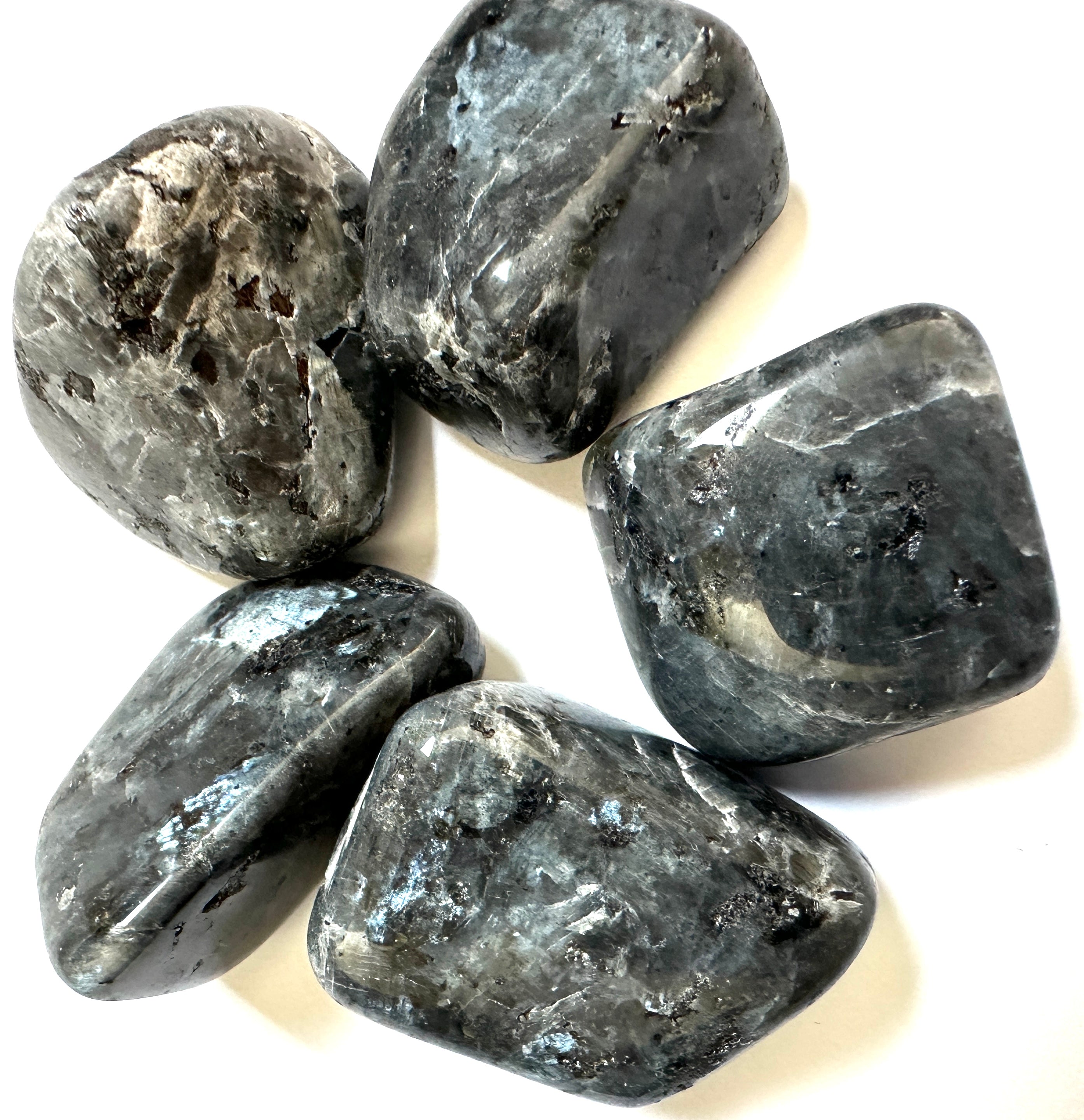 LARVIKITT TROMLET - "styrke bevissthet og evner"