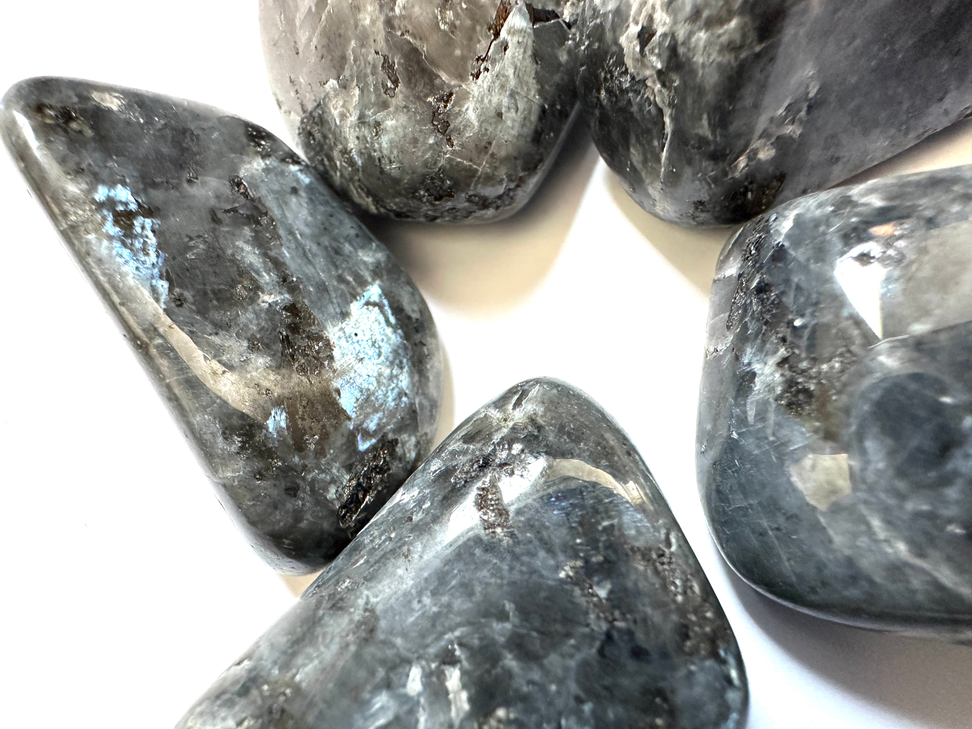 LARVIKITT TROMLET - "styrke bevissthet og evner"