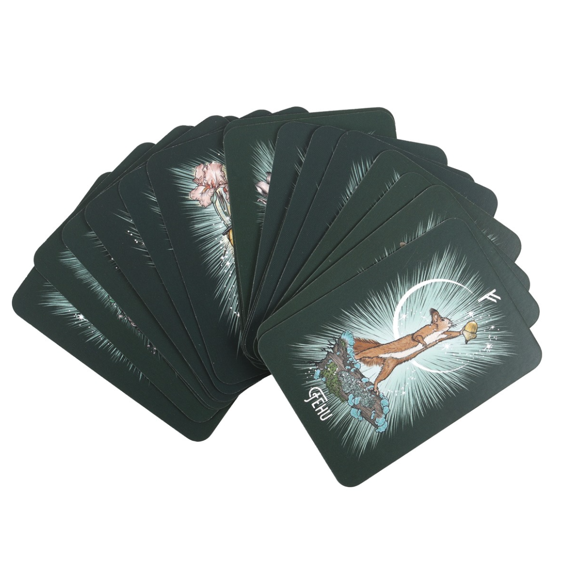 The Witch’s Familiar Runic Oracle Cards - 24 kort & guidebok