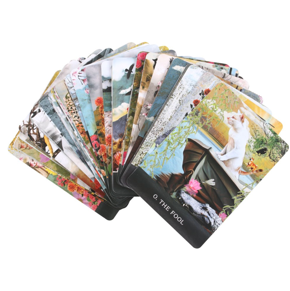 GRIMALKIN'S CURIOUS CATS TAROT - 80 kort og guidebok