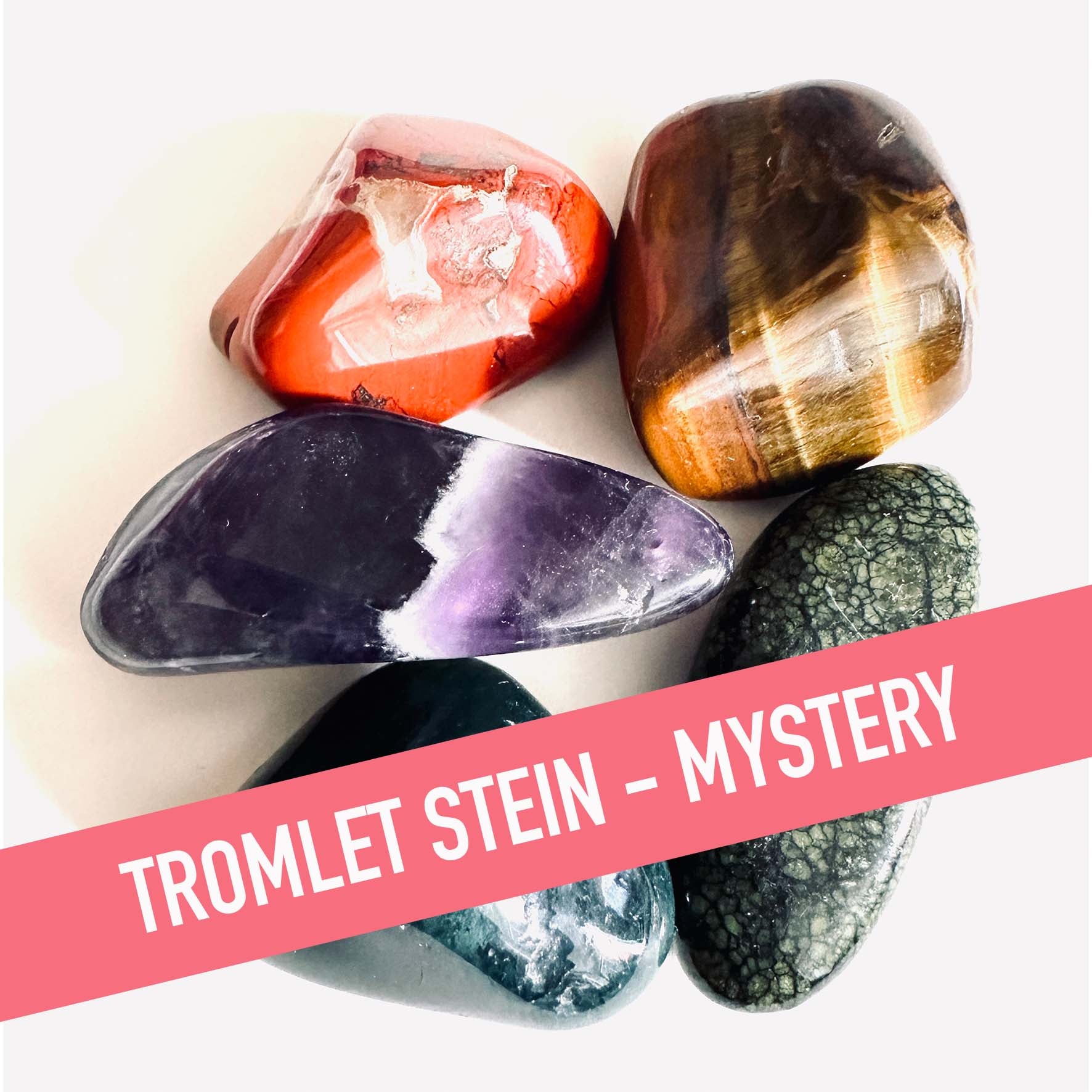 MYSTERY - TROMLET STEIN - MYSTERY